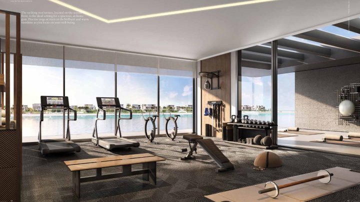 Dubai Palm Jebel Ali Villa exclusive en bord de mer à vendre