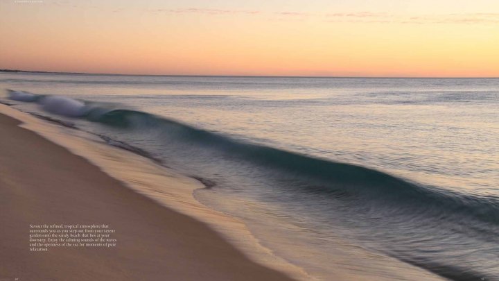 Dubai Palm Jebel Ali Exclusivas Villas Coral Residencias Frente al Mar